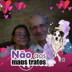 Meet your Posher, Ana